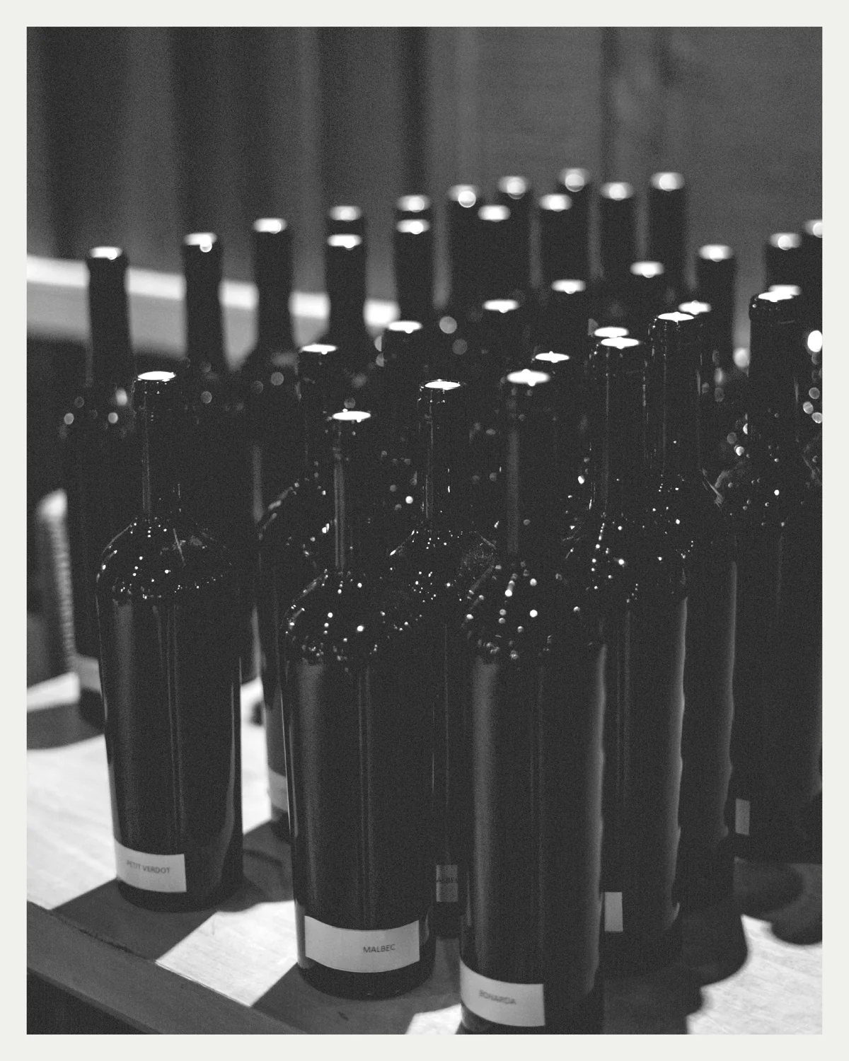 Blend de socios: el vino que lleva la firma de todos