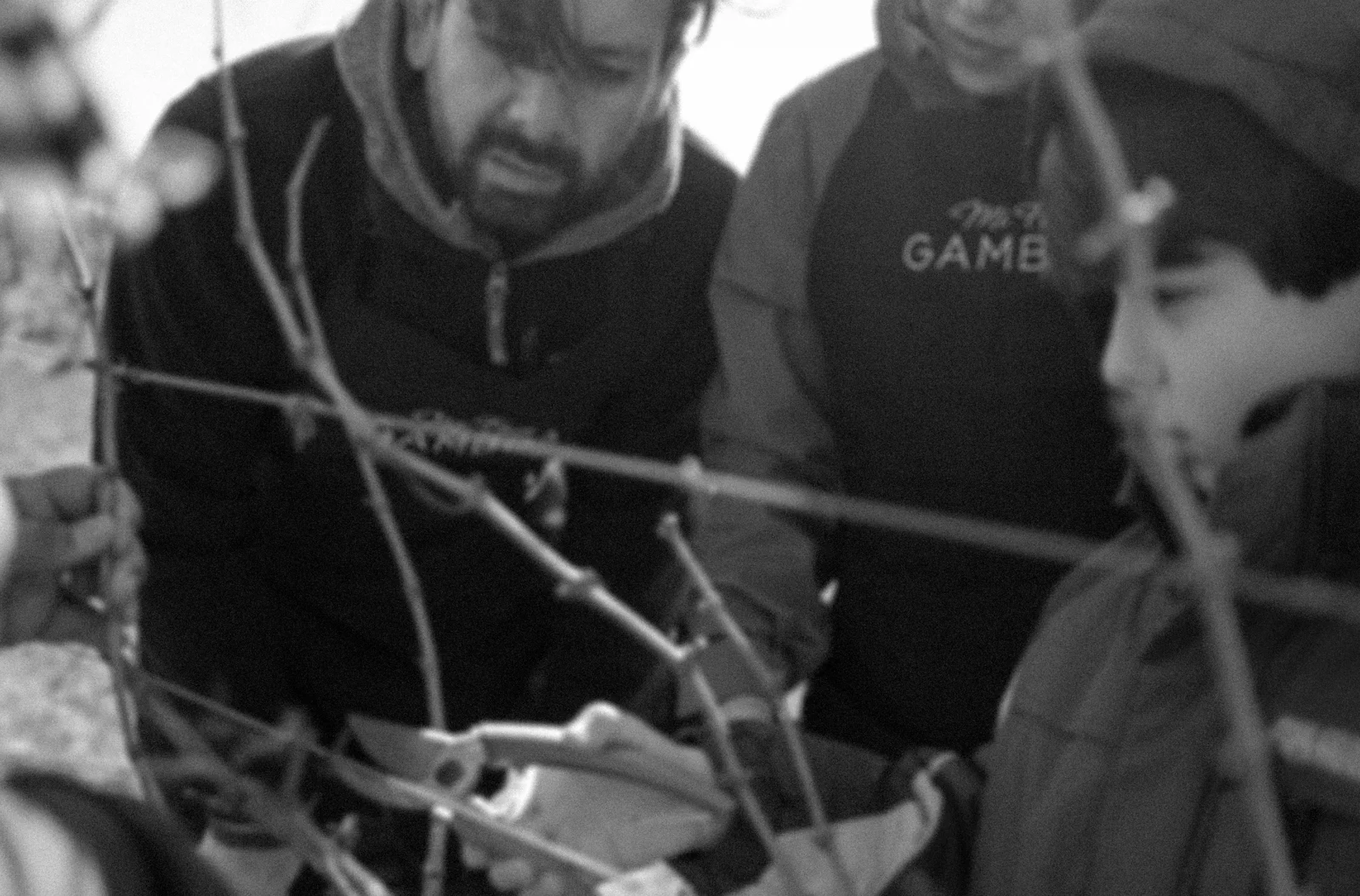 Poda de invierno: el punto de partida de la próxima gran cosecha