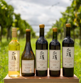 Colección de vinos Gamboa