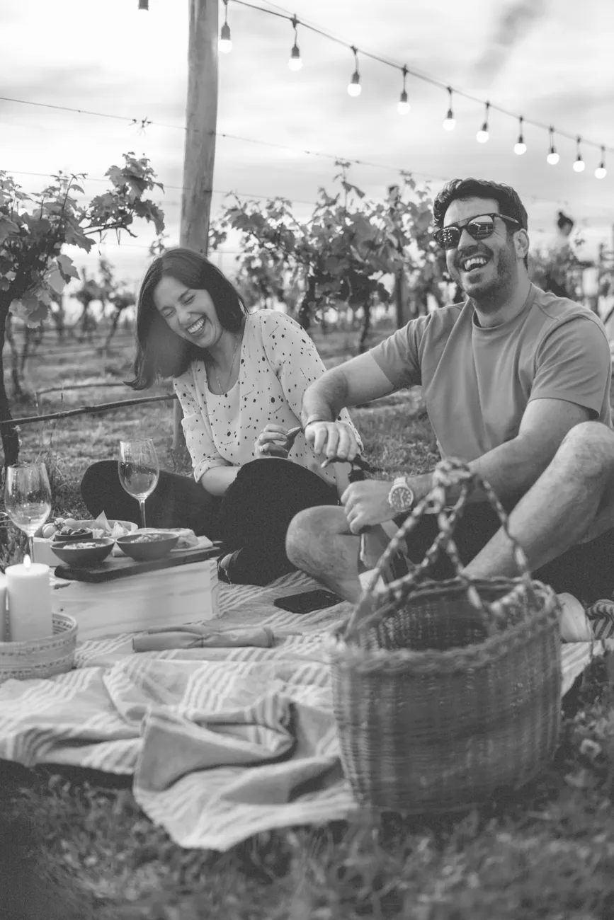Picnic entre Viñedos