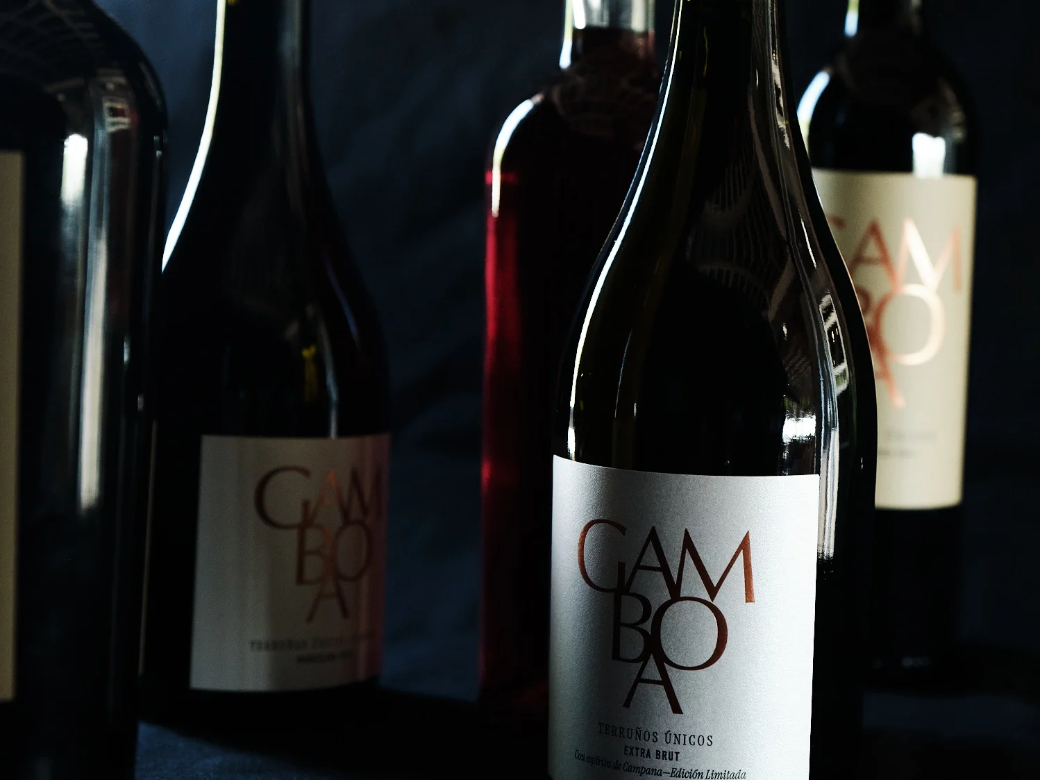 Colección de vinos Gamboa