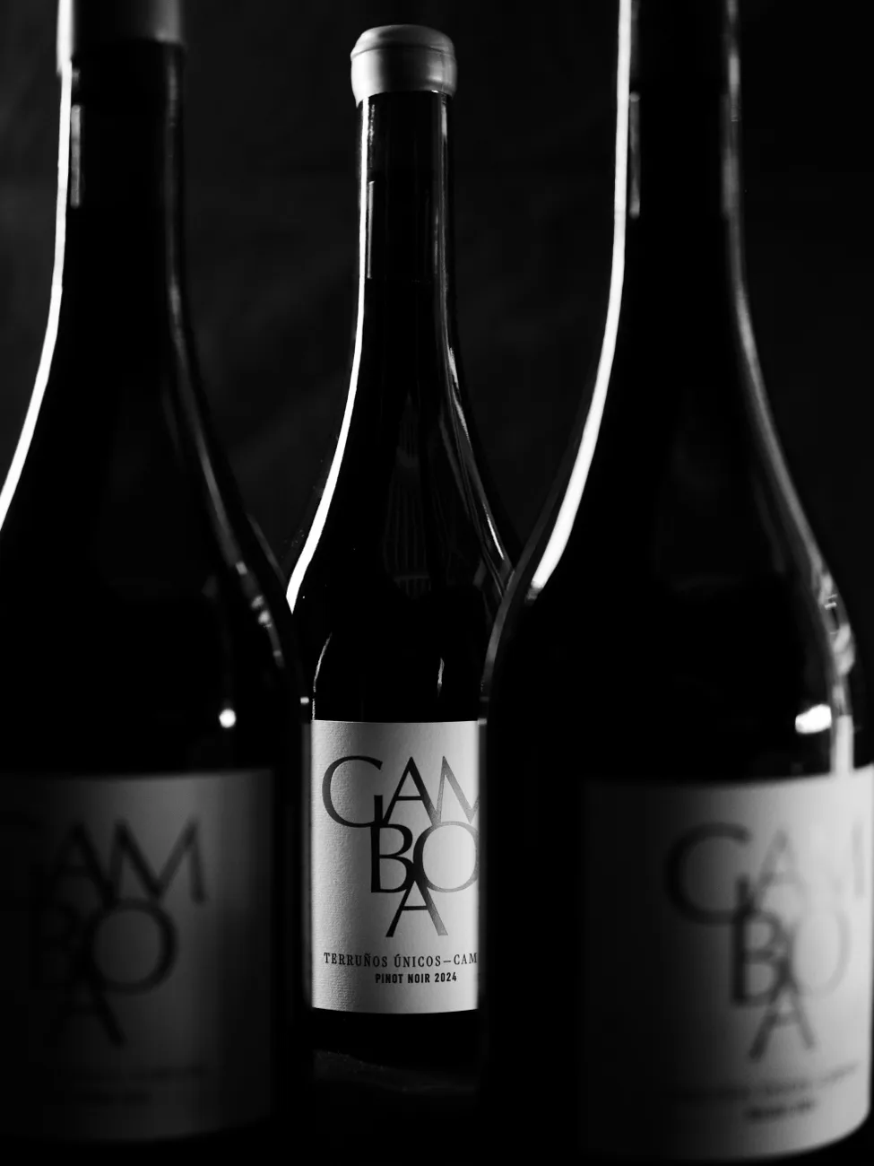 Tu propia marca de vinos