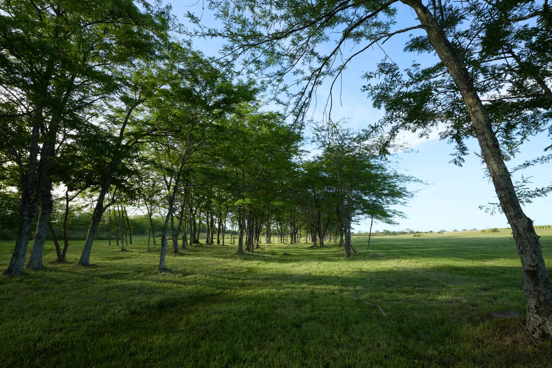 Vista aérea del loteo Gamboa