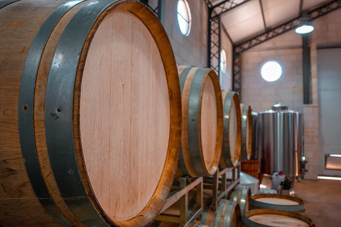 Interior de la bodega con barricas y degustación