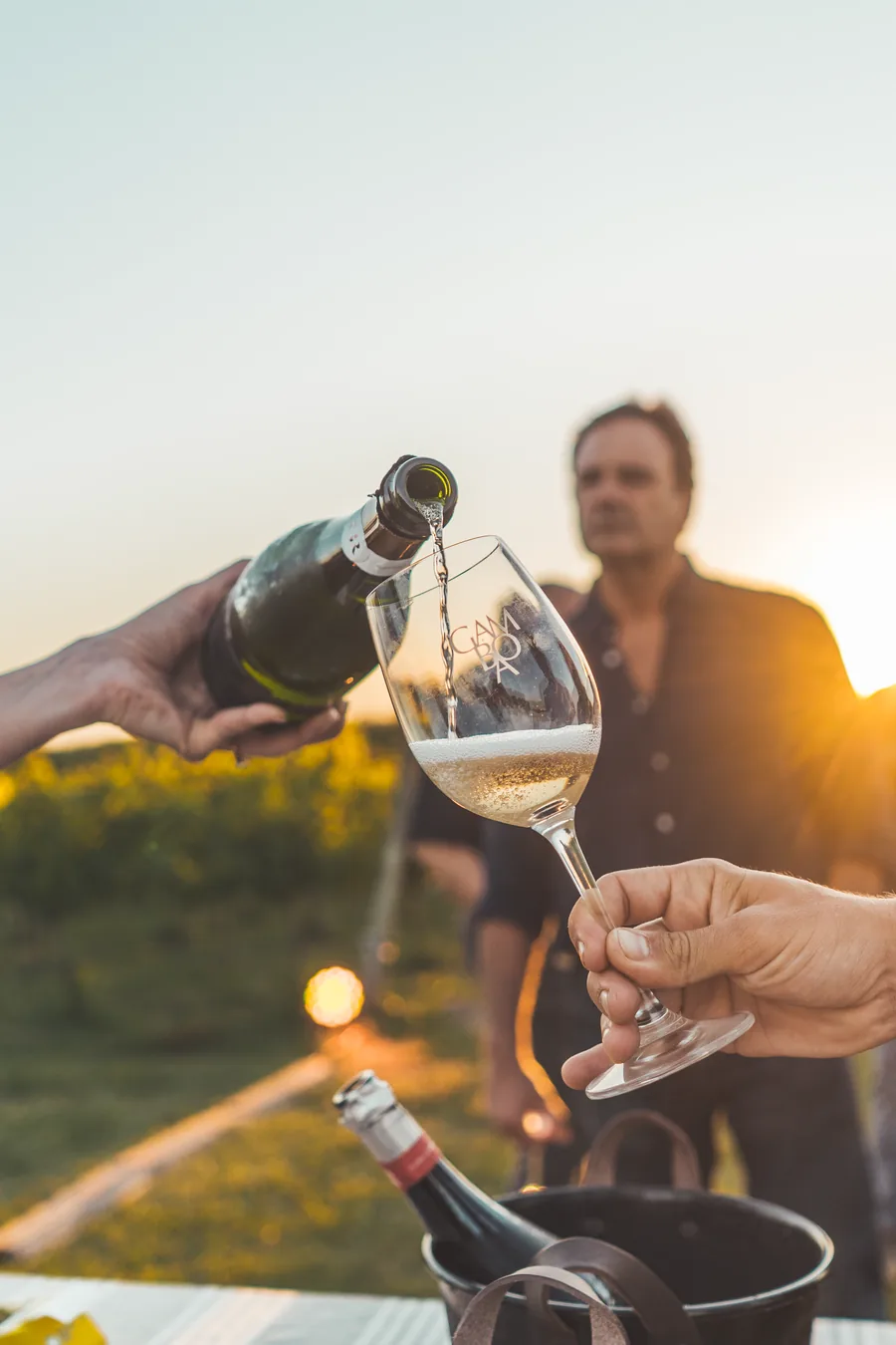 Maridaje de vinos en Gamboa