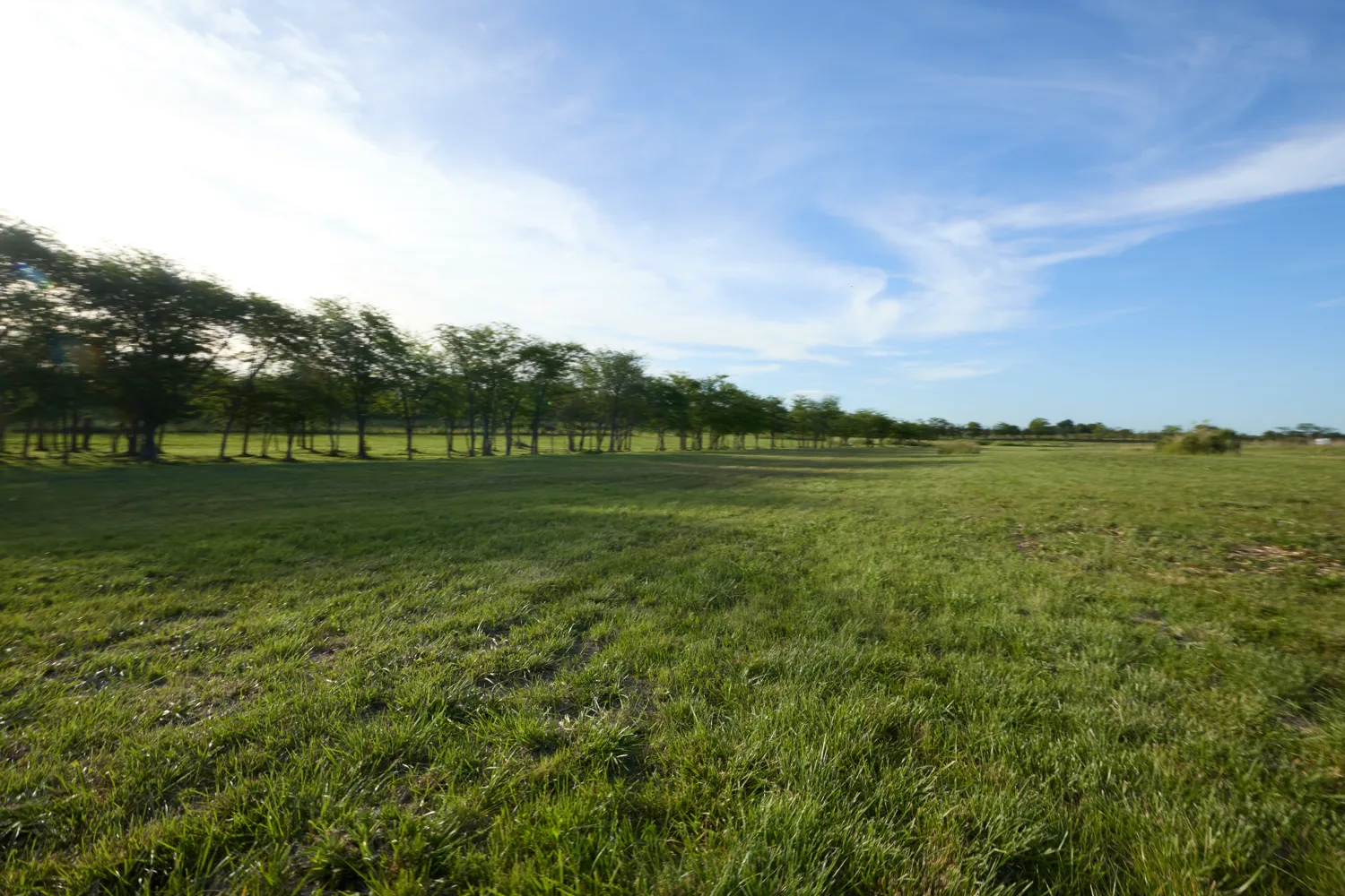 La pampa húmeda