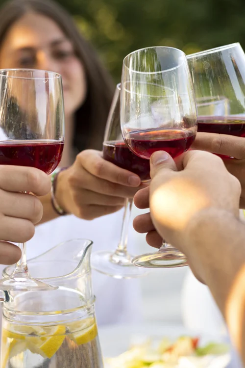 Viajes a reconocidas regiones vitivinícolas como Mendoza, Napa y Burdeos