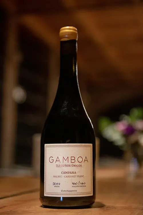 Vino Gamboa Malbec — Cabernet Franc, 2022