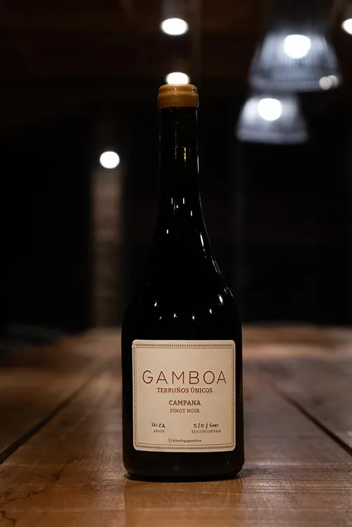 Vino Gamboa Pinot Noir, 2022