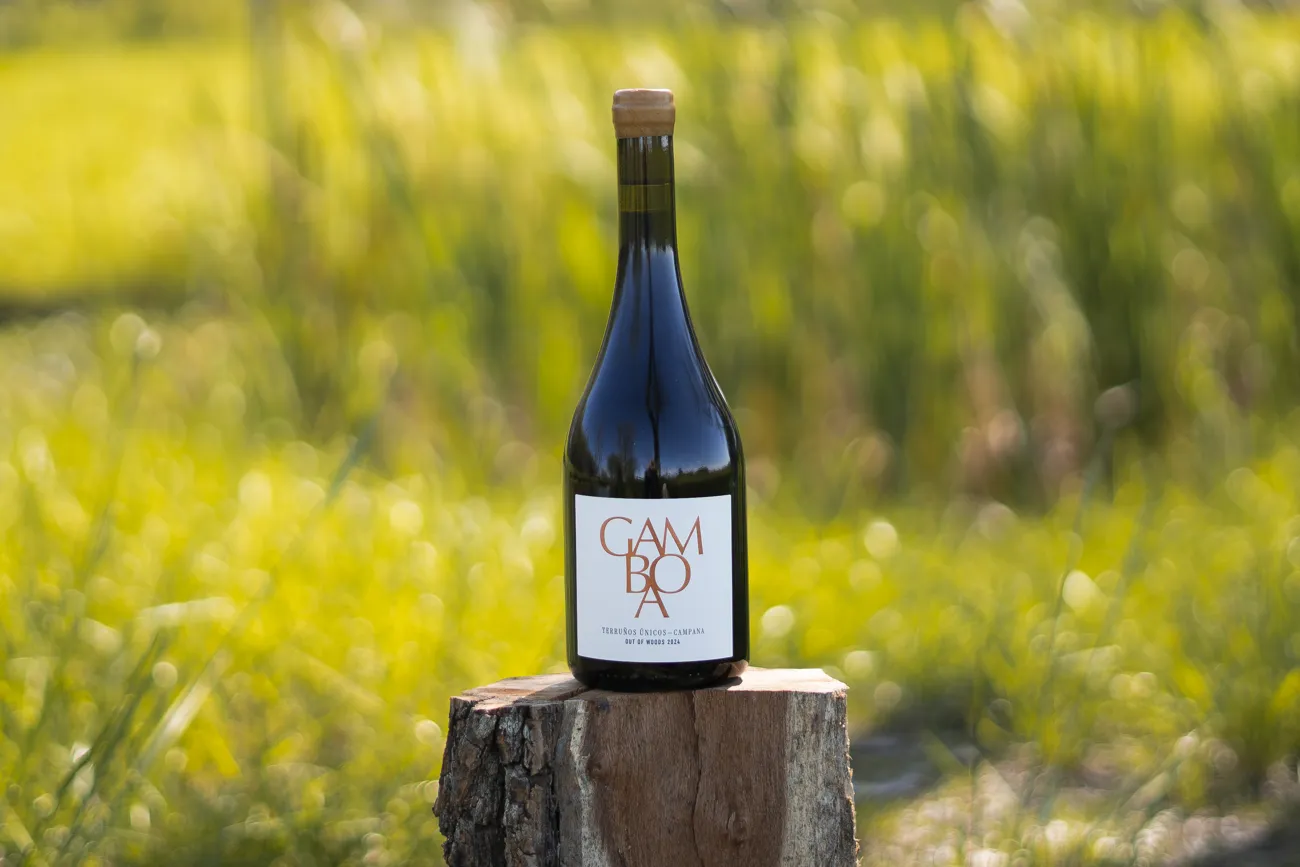 Vino Gamboa Pinot Noir, 2024