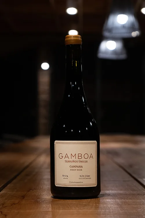 Pinot Noir 2022